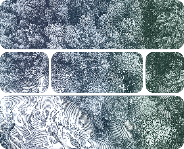 Berg och sjö i svensk natur